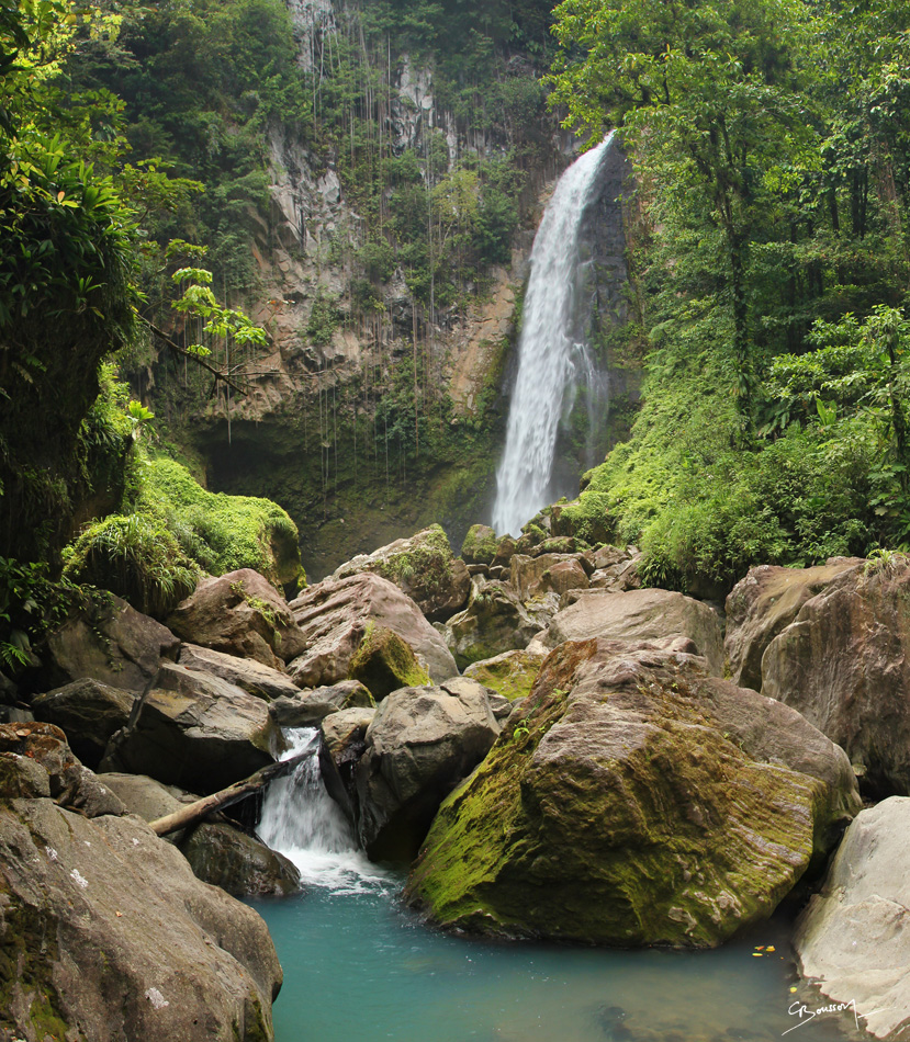 2014 023 Dominica (30)